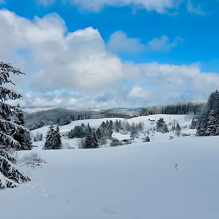 Schwarzwald Nescht Triberg Daire Triberg im Schwarzwald Dış mekan fotoğraf