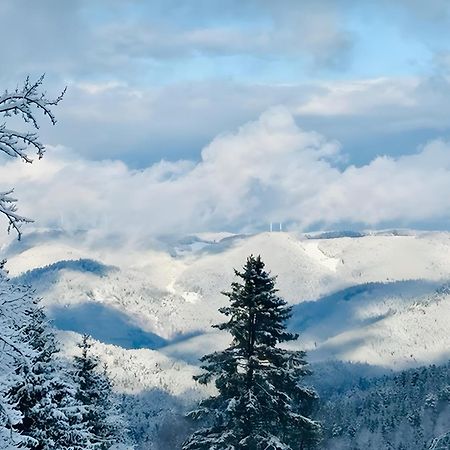 Schwarzwald Nescht Triberg Daire Triberg im Schwarzwald Dış mekan fotoğraf