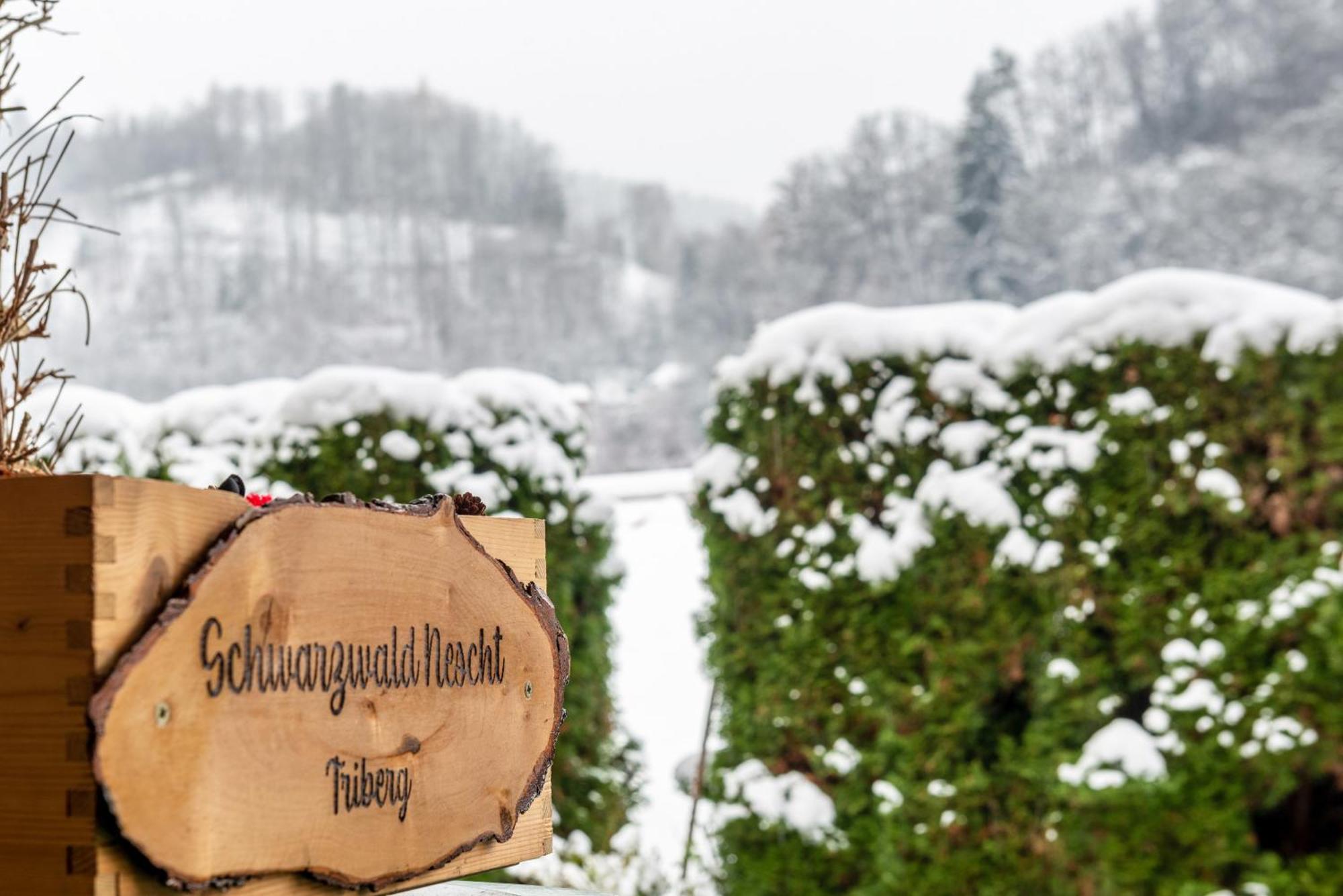 Schwarzwald Nescht Triberg Daire Triberg im Schwarzwald Dış mekan fotoğraf