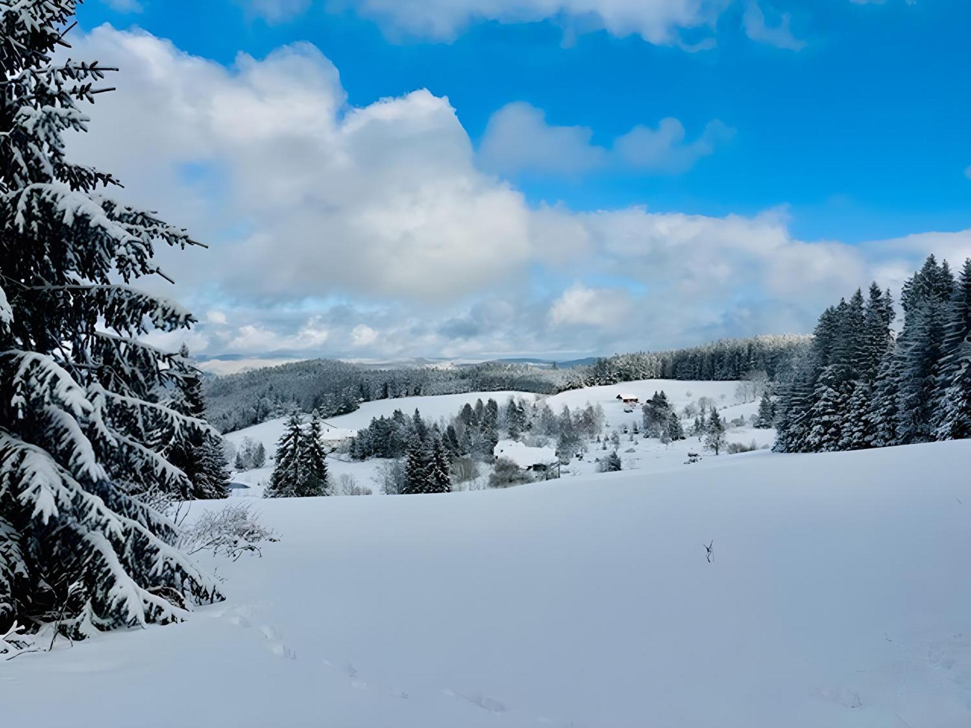 Schwarzwald Nescht Triberg Daire Triberg im Schwarzwald Dış mekan fotoğraf